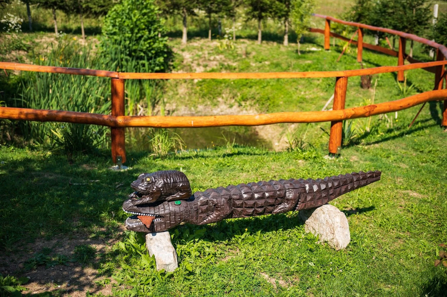 Oczko wodne